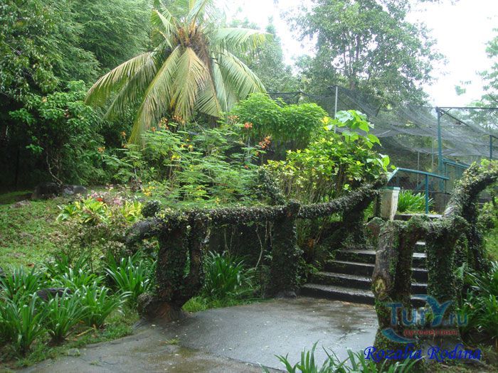 Крокодиловая ферма Лангкави