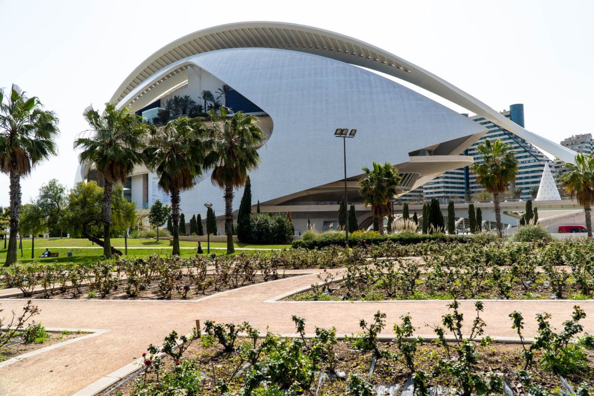 Сад Турия Валенсия. Парк Турия