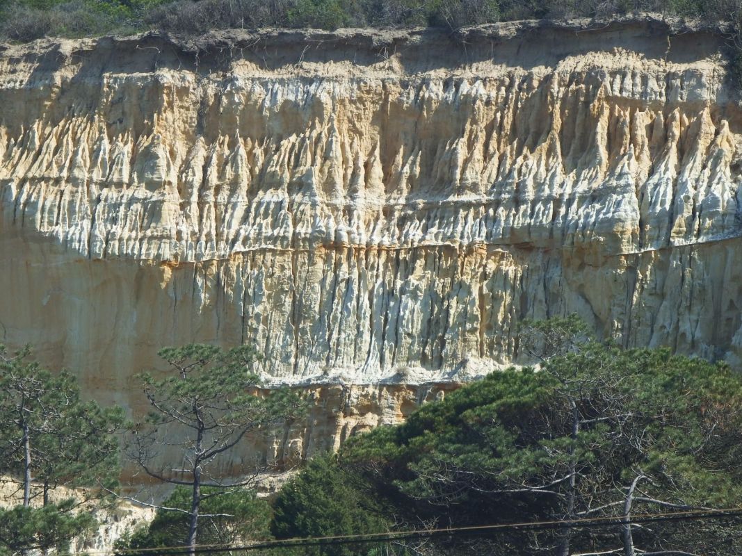 Скала на пляже Кошта-да-Капарика