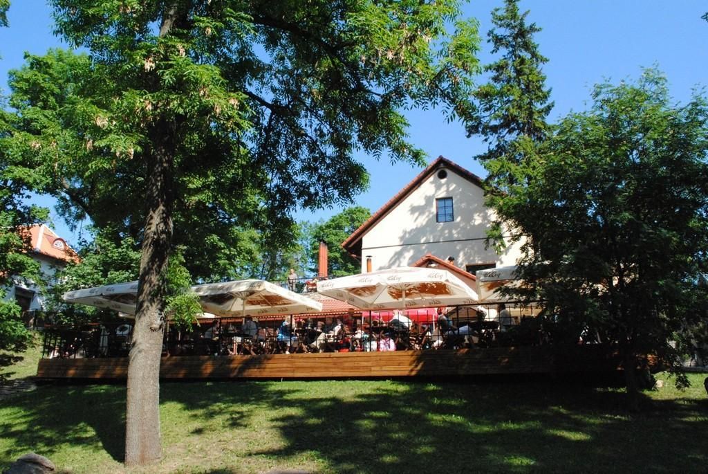 Ресторан Coccodrillo (Виймси)