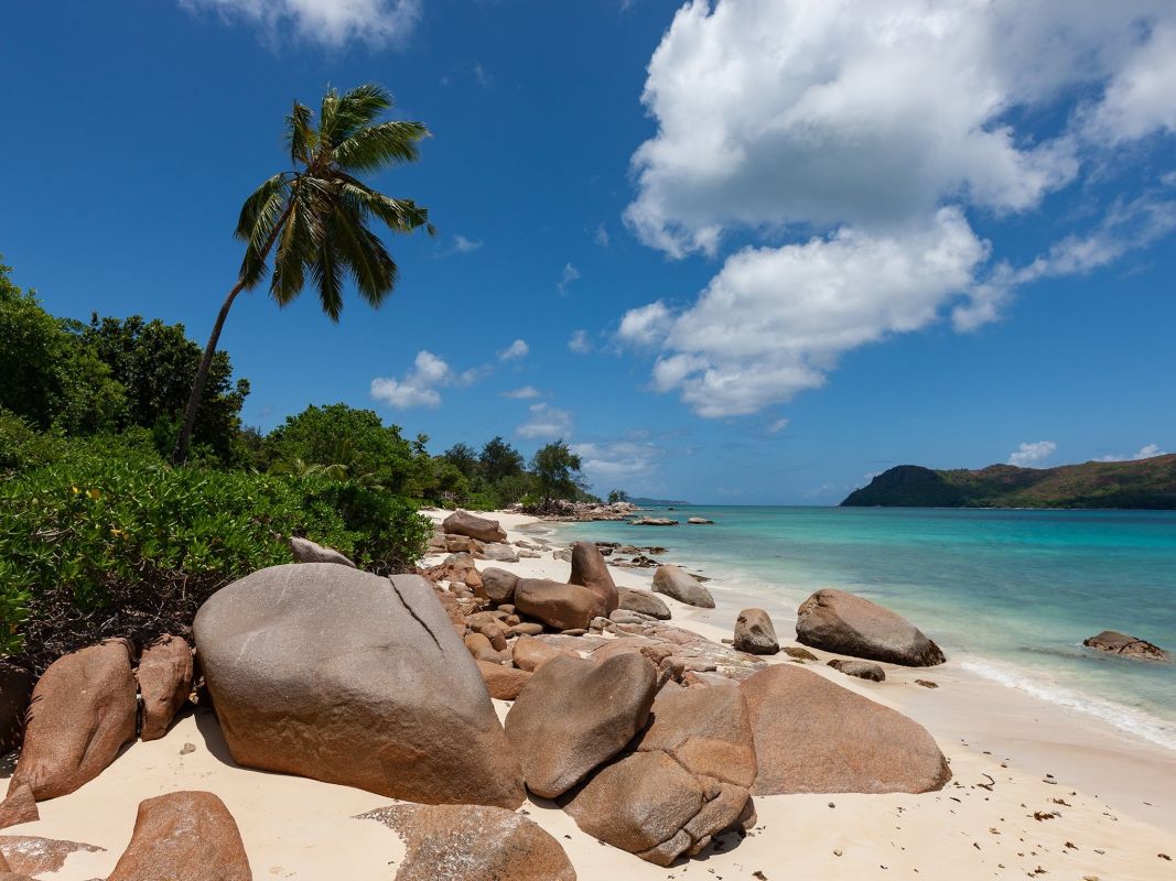 Пляж Анс Такамака, Праслин