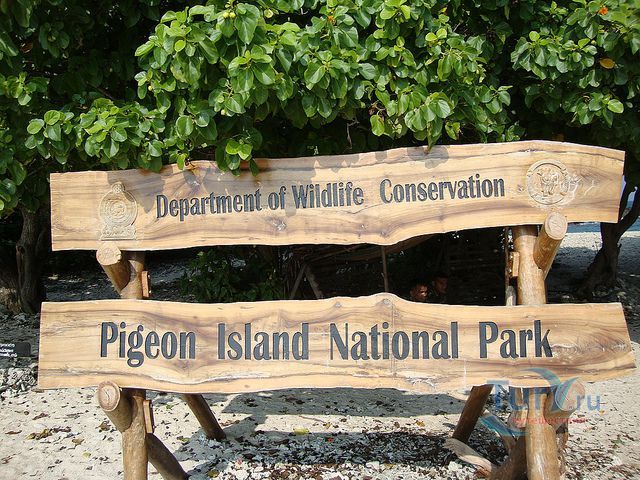 Остров Голубей