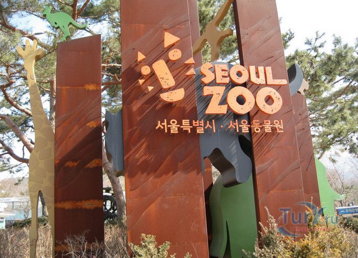 Сеульский Зоопарк