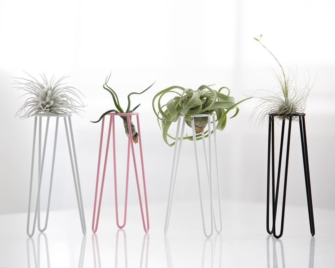 Магазин балтийского дизайна Les Petites