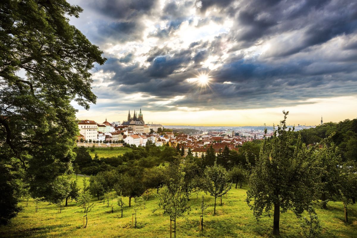 Сады на Петршине