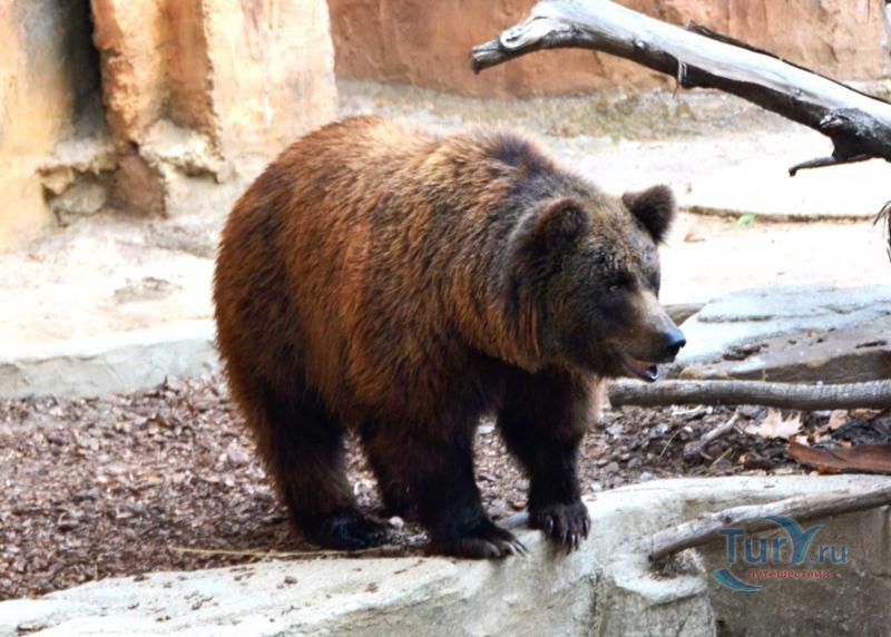 Барселонский зоопарк