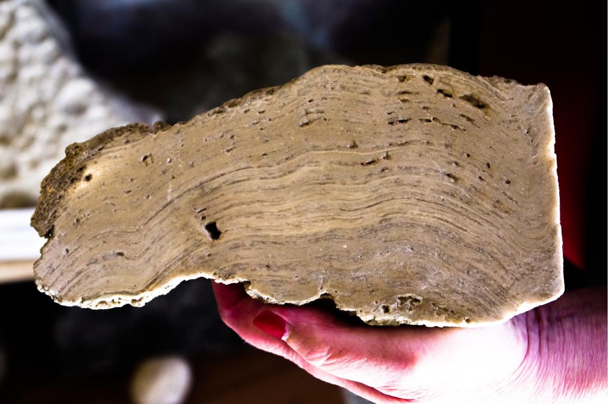 Музей плитняка Поркуни