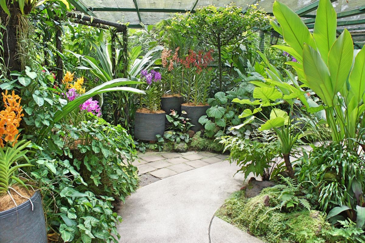 Национальный сад орхидей Сингапура