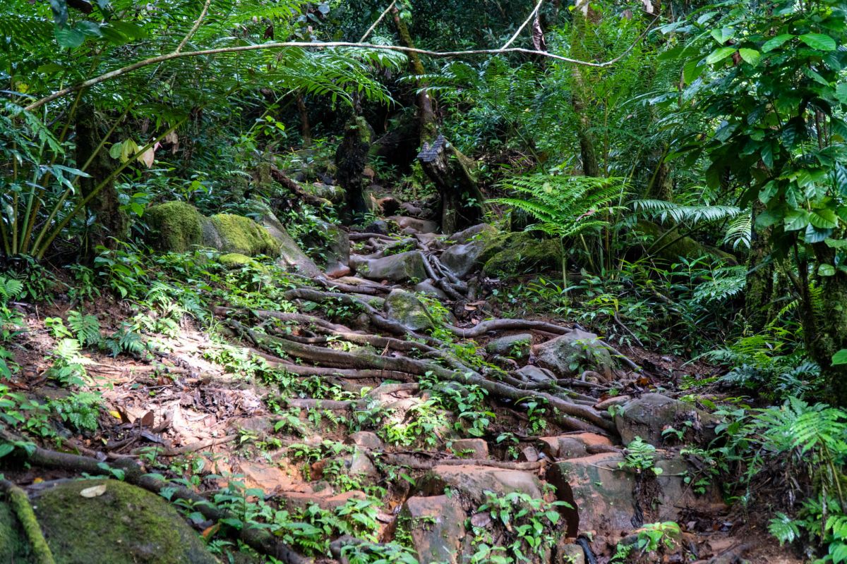 Морн Блан Трейл