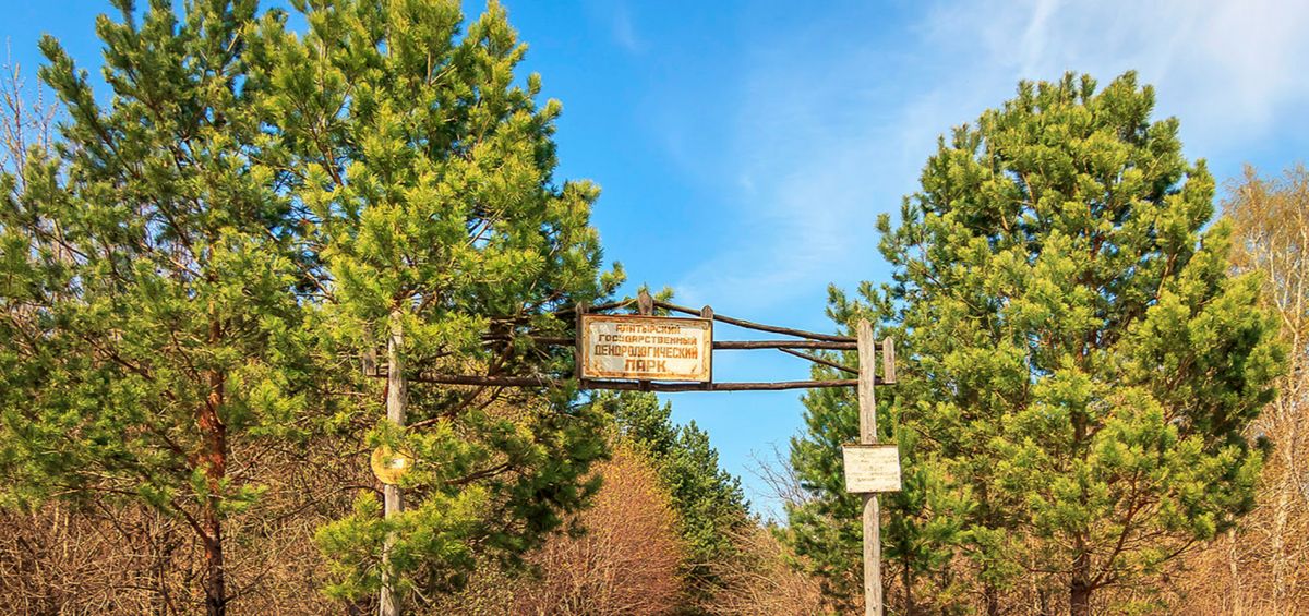 Дендропарк Г. А. Сулимо-Самуйло