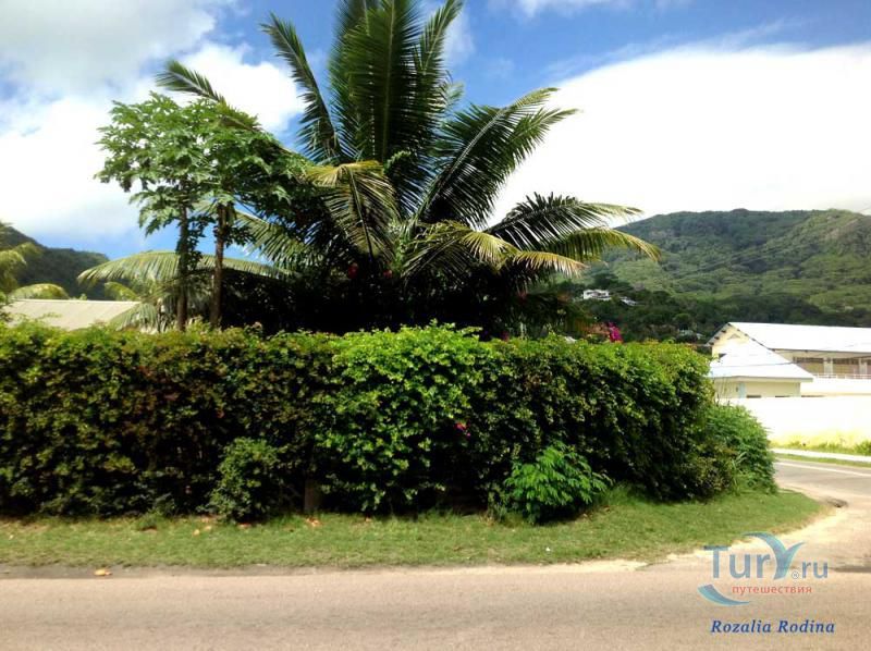 Пляж Анс-о-Пен и бухта Тартл