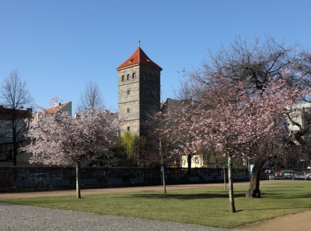 Новомлынская водонапорная башня