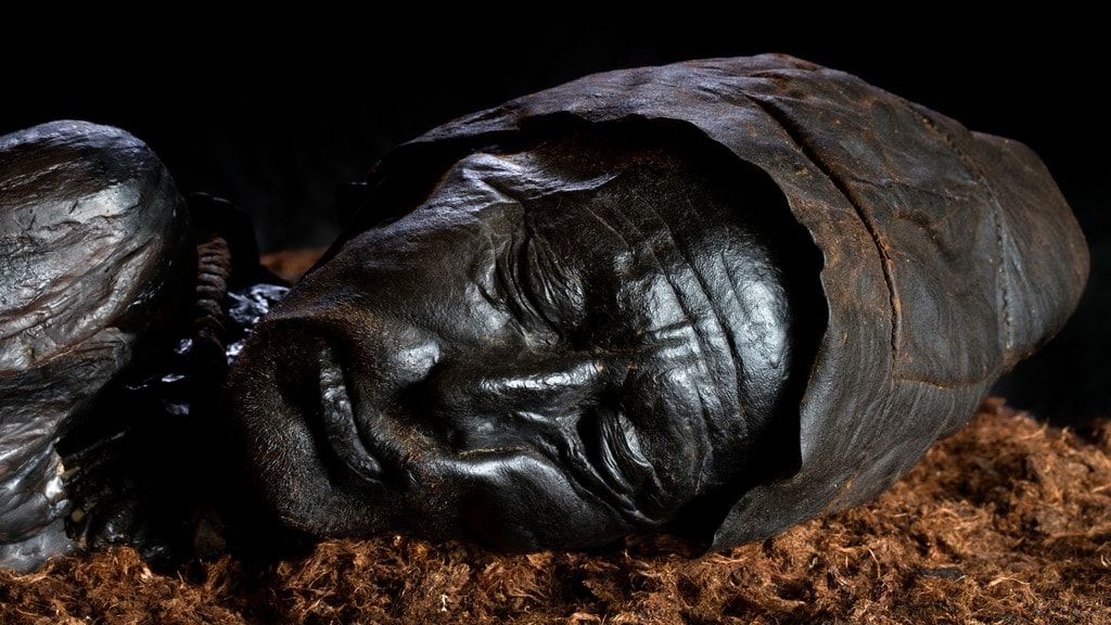 Музей Силькеборга, Ховедгорден