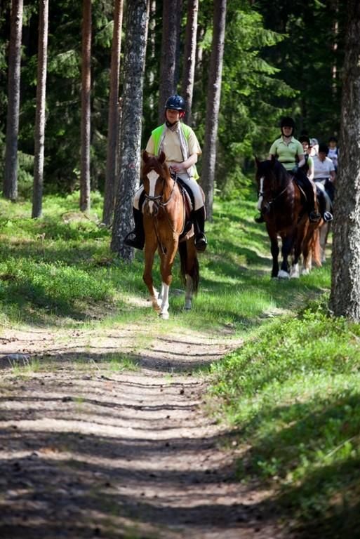 Конный хутор Куусекянну