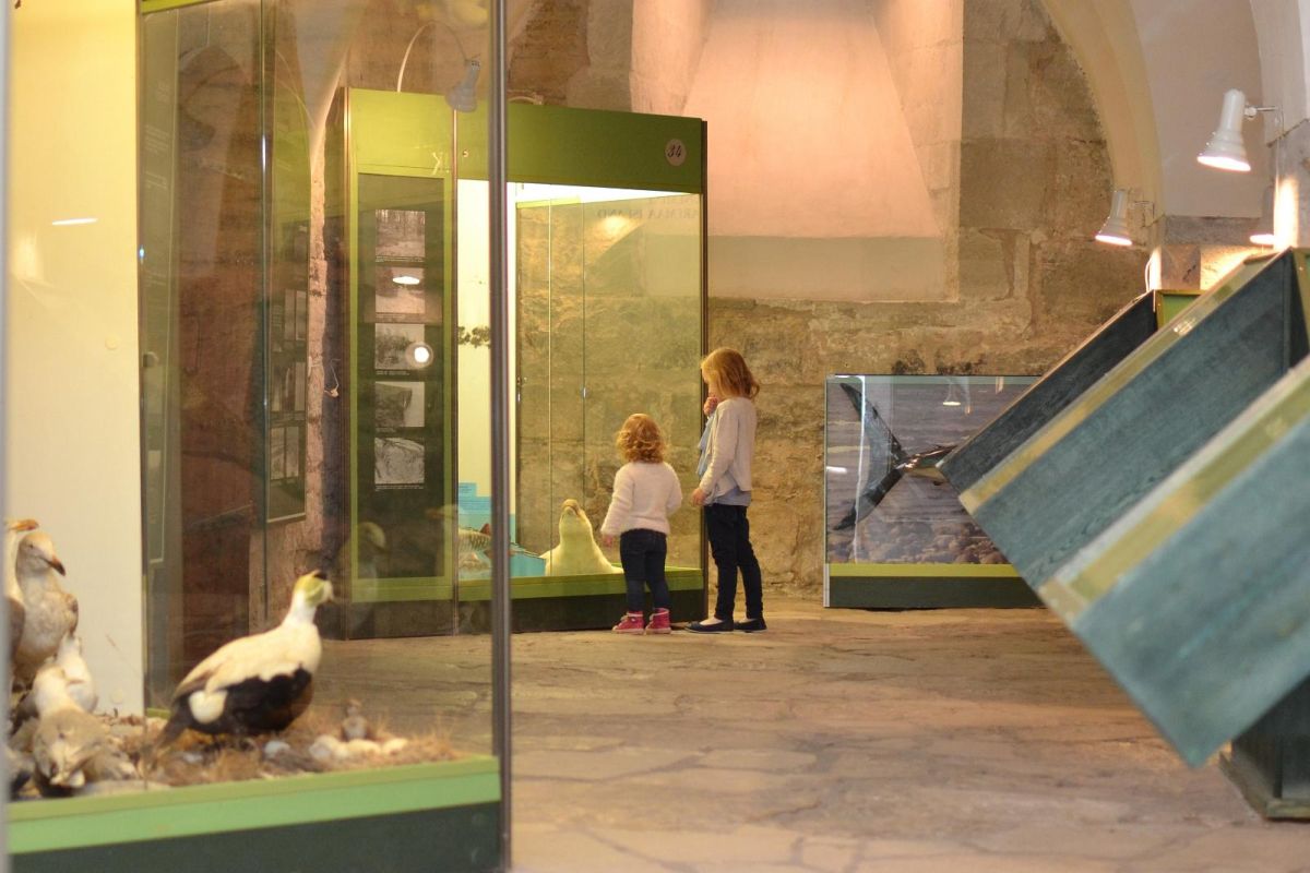 Музей Сааремаа