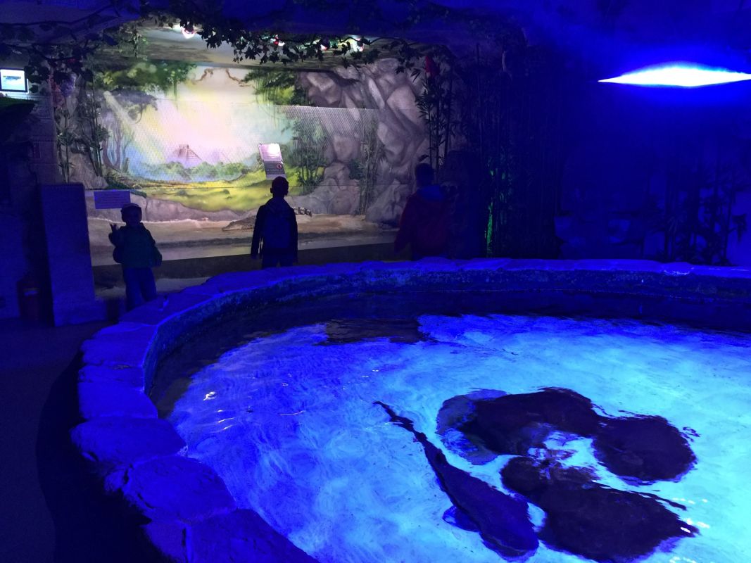 Океанариум Морская Сказка в Киеве