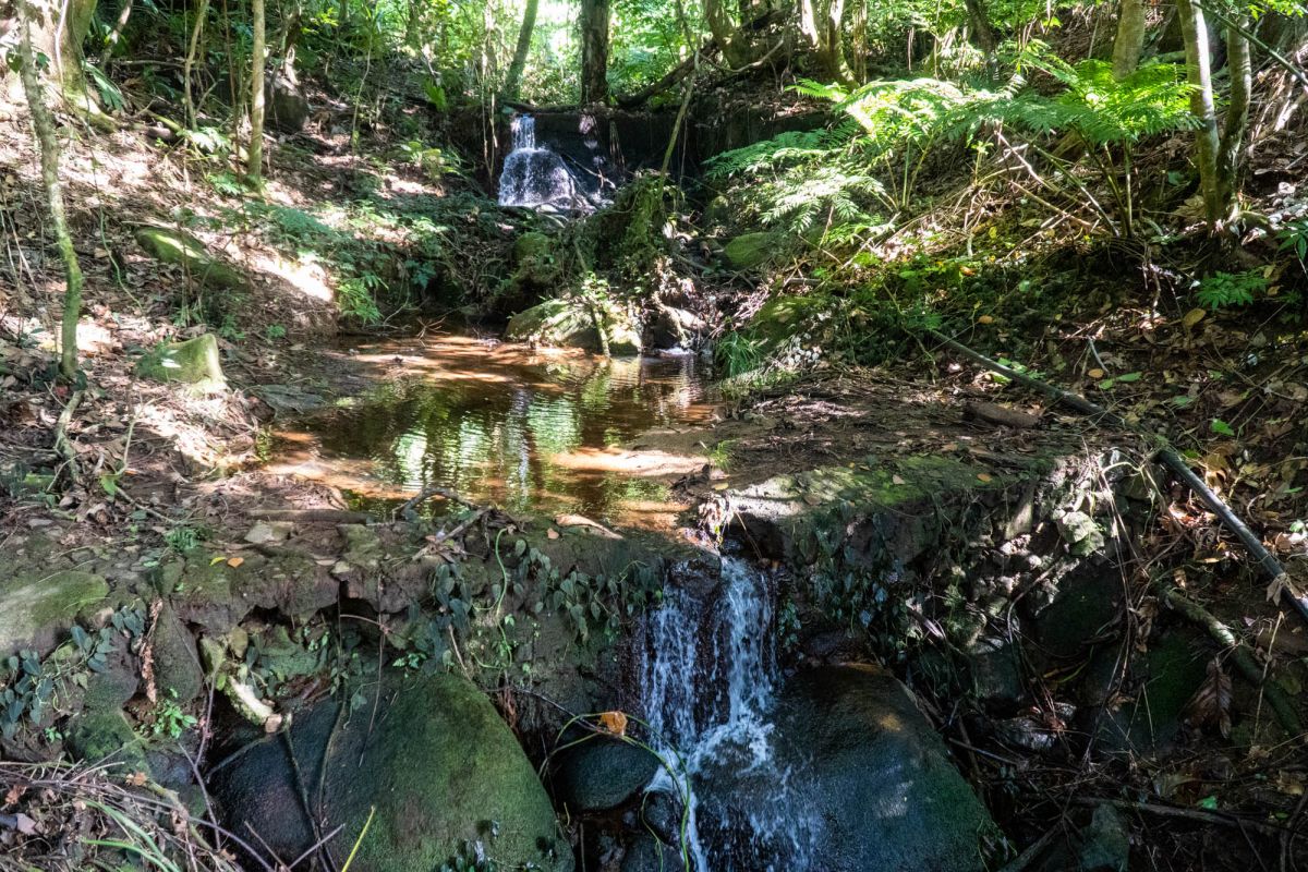 Салази Трейл