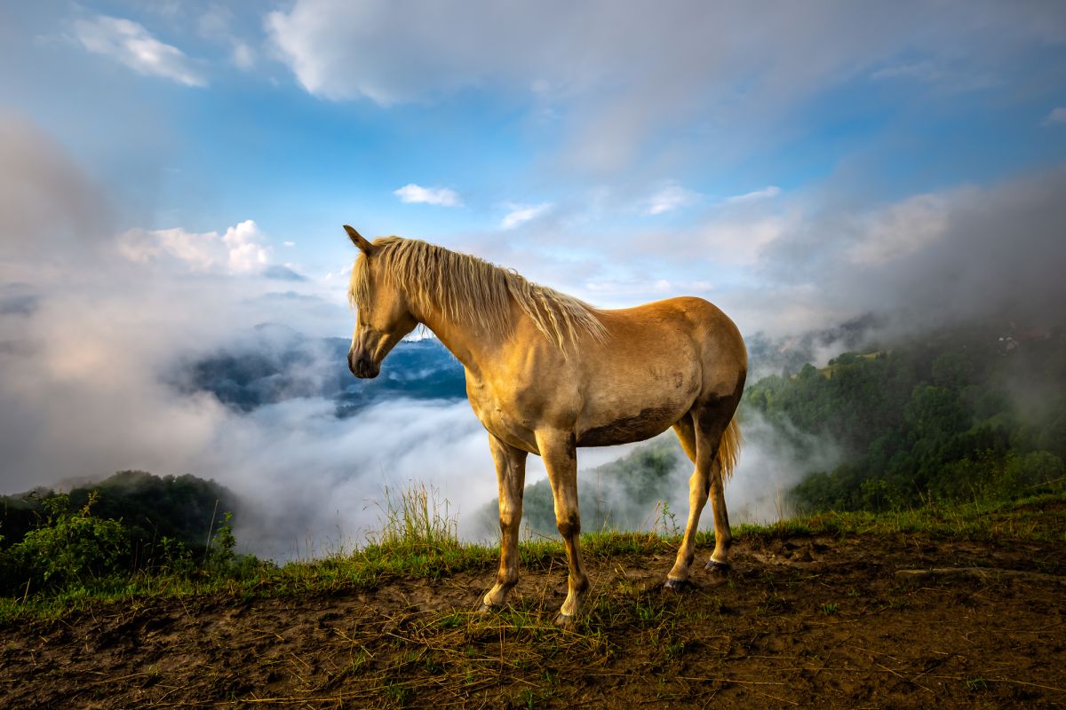 Церковь Святого Стефана