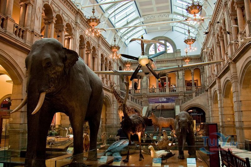 Художественная галерея и музей Келвингроув