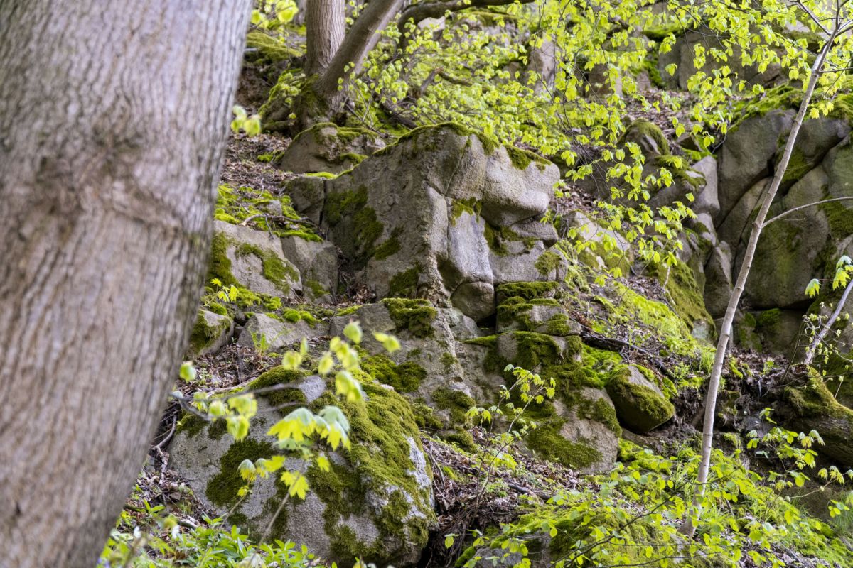 Пешеходный маршрут по южной стороне Тетерева