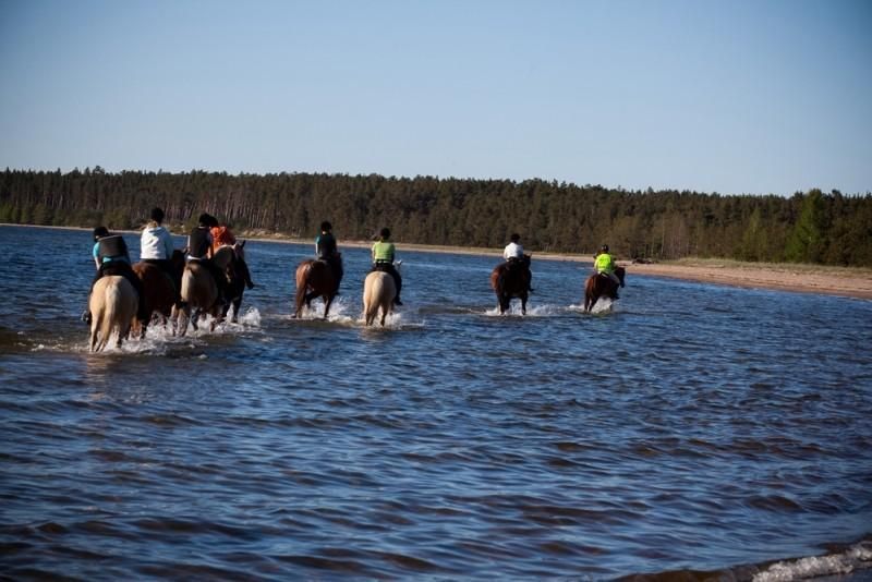 Конный хутор Куусекянну
