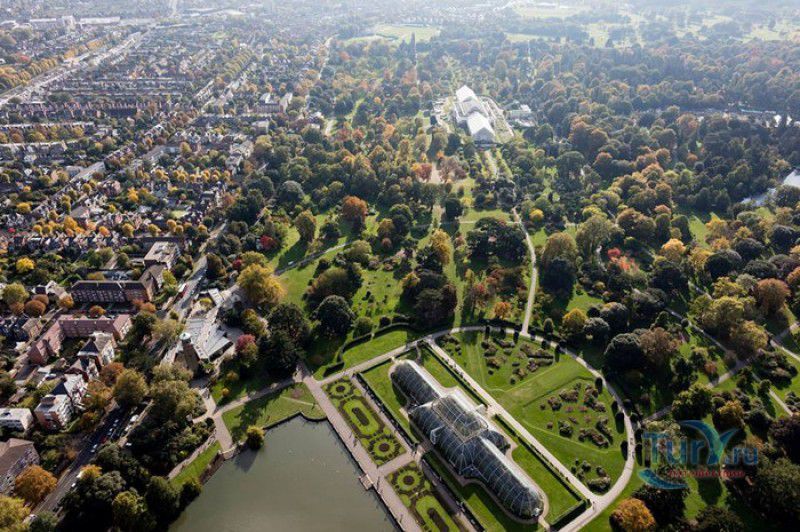 Королевские Ботанические Сады Кью