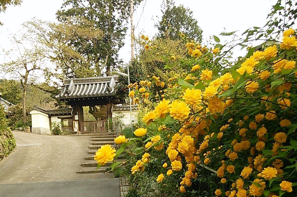 Храм Эсин-ин