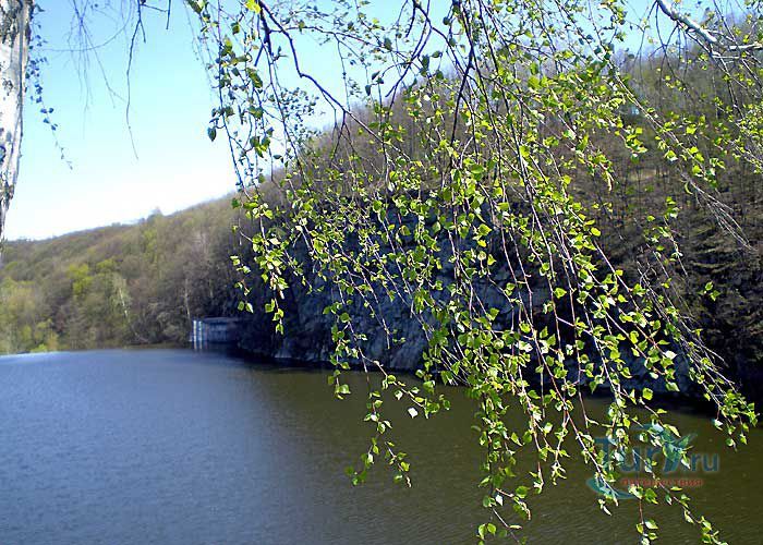 Голова Чацкого