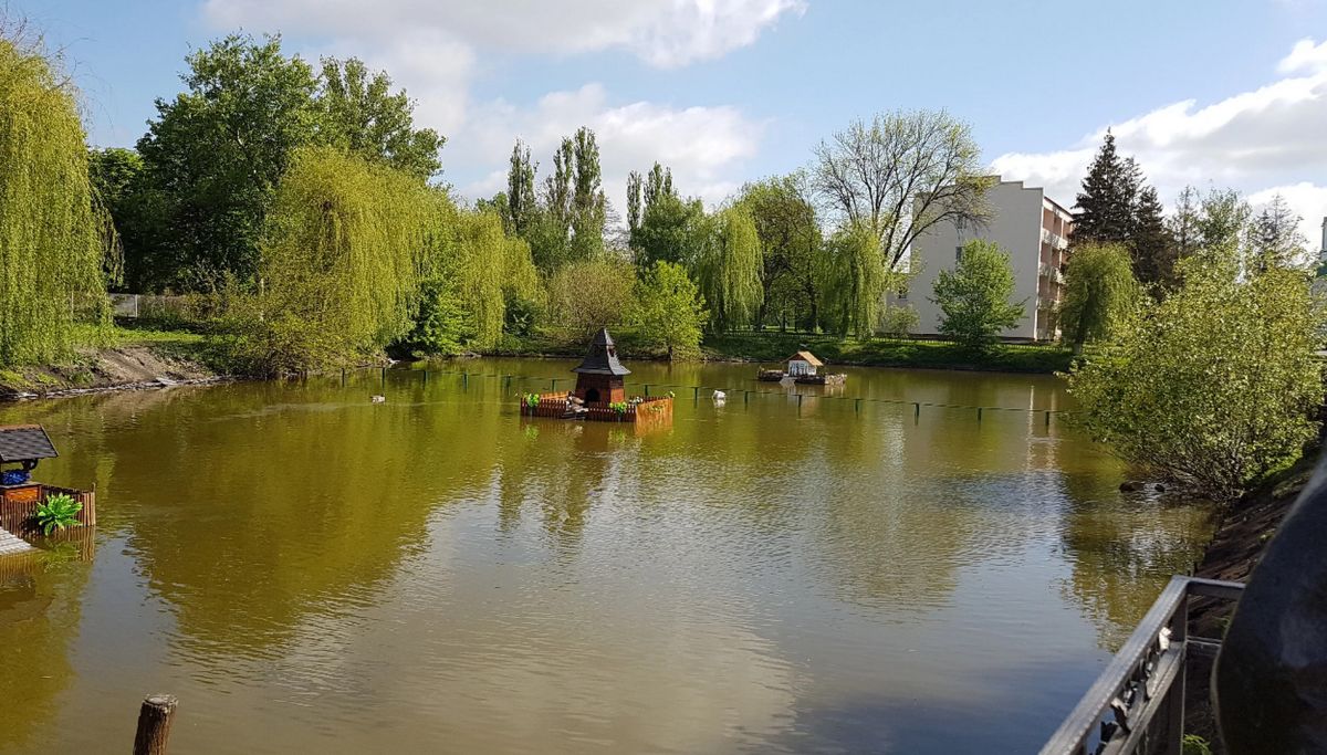 Миргородский пруд