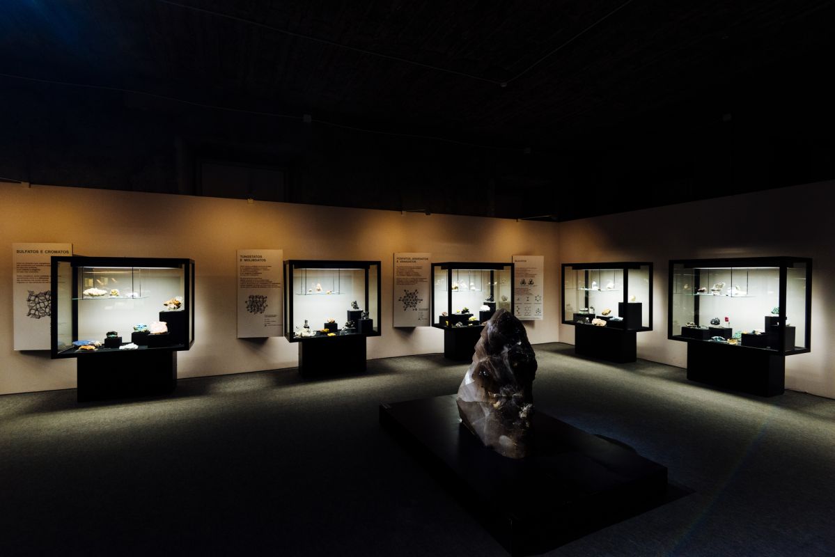 Национальный музей естественной истории и науки