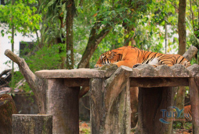 Зоопарк Негара (Национальный Зоопарк Малайзии)