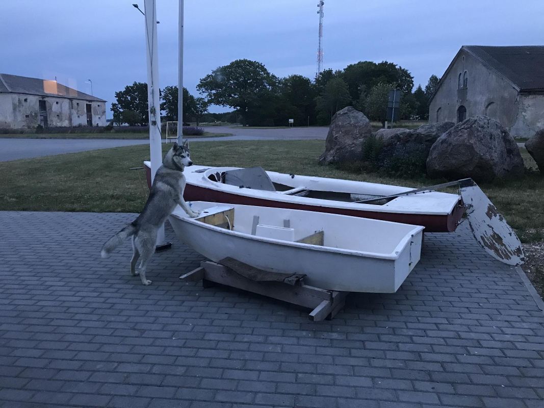 Шампань-бар и ресторан KORK