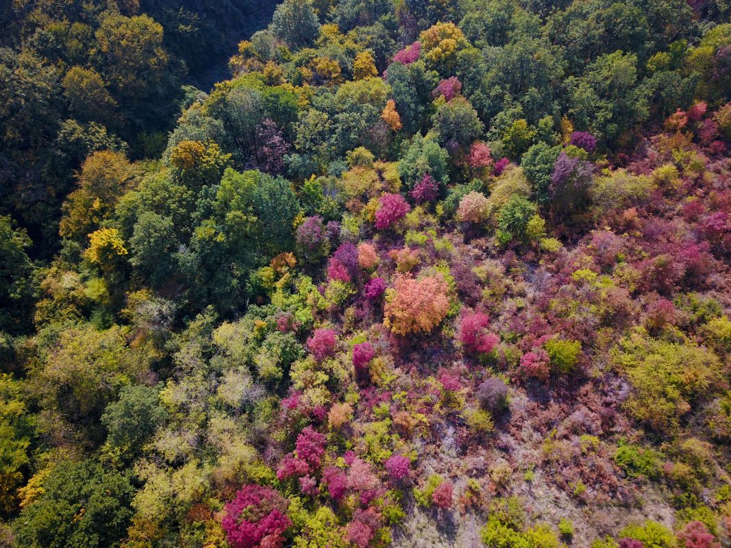 Национальный парк Фрушка Гора