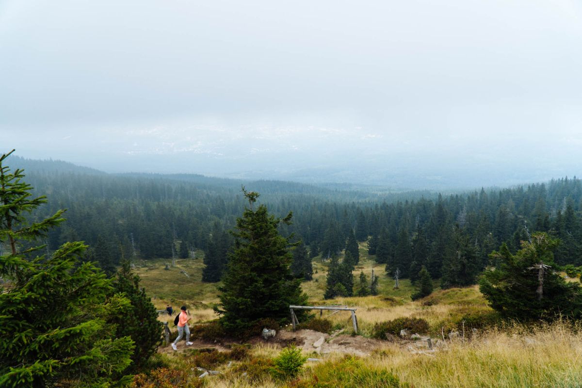 Карконошеский национальный парк