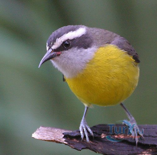 Ферма и Природный Заповедник Приключения  (Adventure Farm & Nature Reserve)
