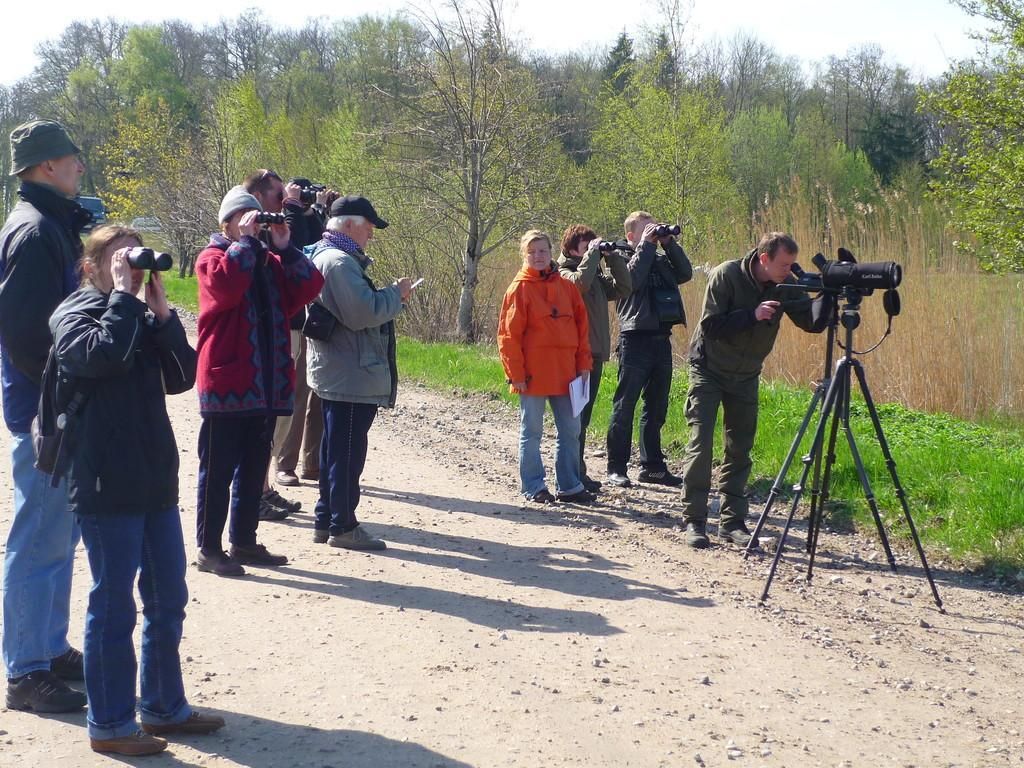 Польдер Аудру