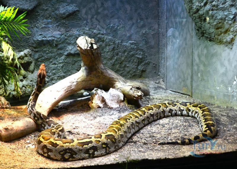 Барселонский зоопарк