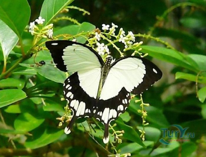 Национальный Морской Парк и Заповедник Ватаму