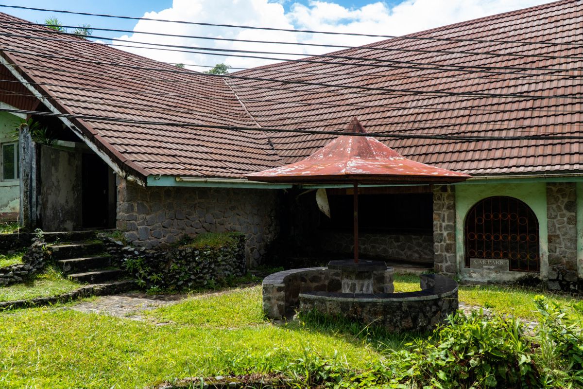 Чайная фабрика