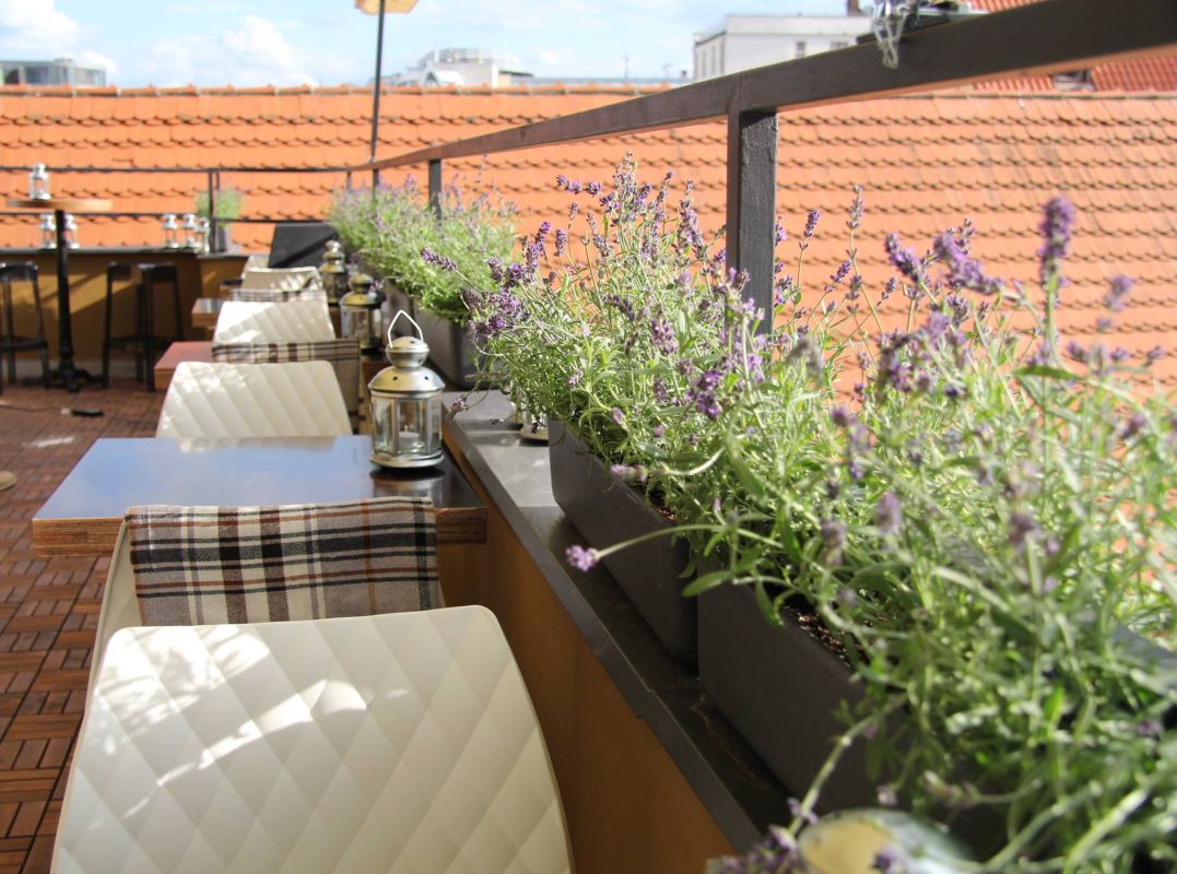 Бар Balcony Bar Prague