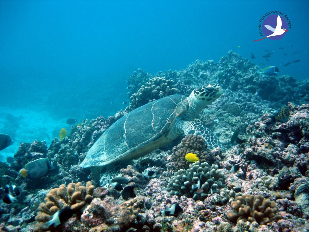 Особый заповедник острова Арид