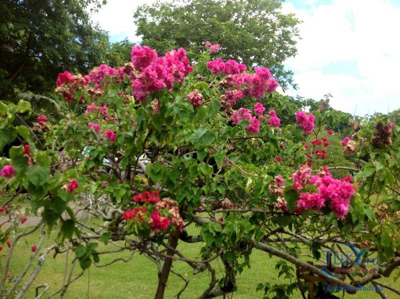 Деревня народных ремесел Домен де Валь де Пре