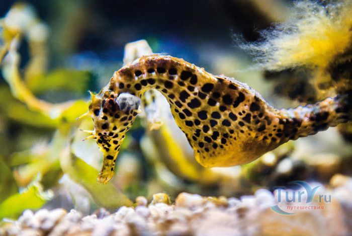 Музей Воды Аквариа