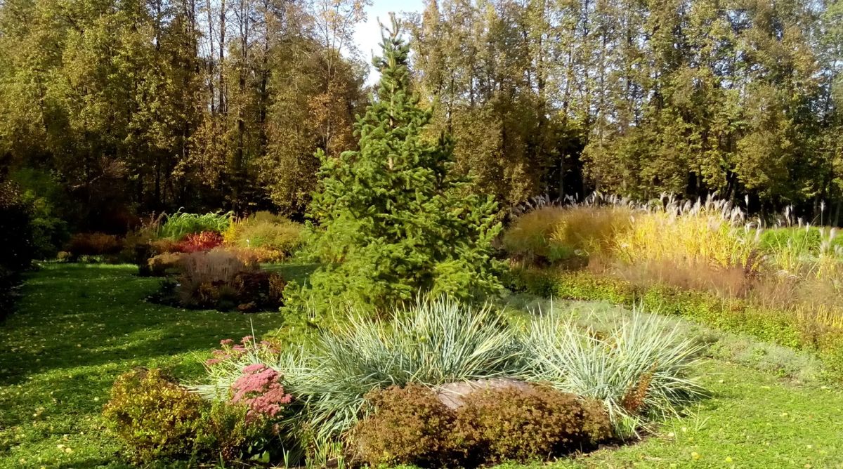 Ботанический сад им. В.Н. Ржавитина