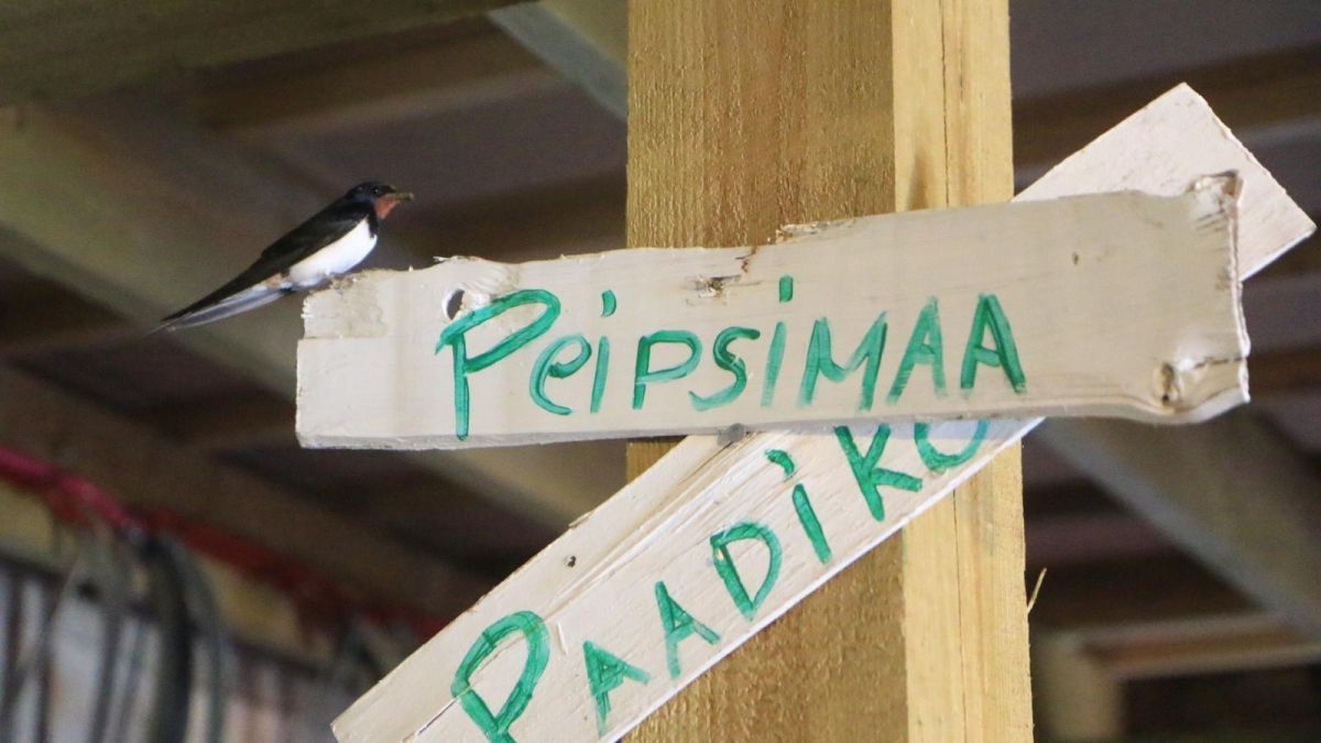 Галерея Причудья