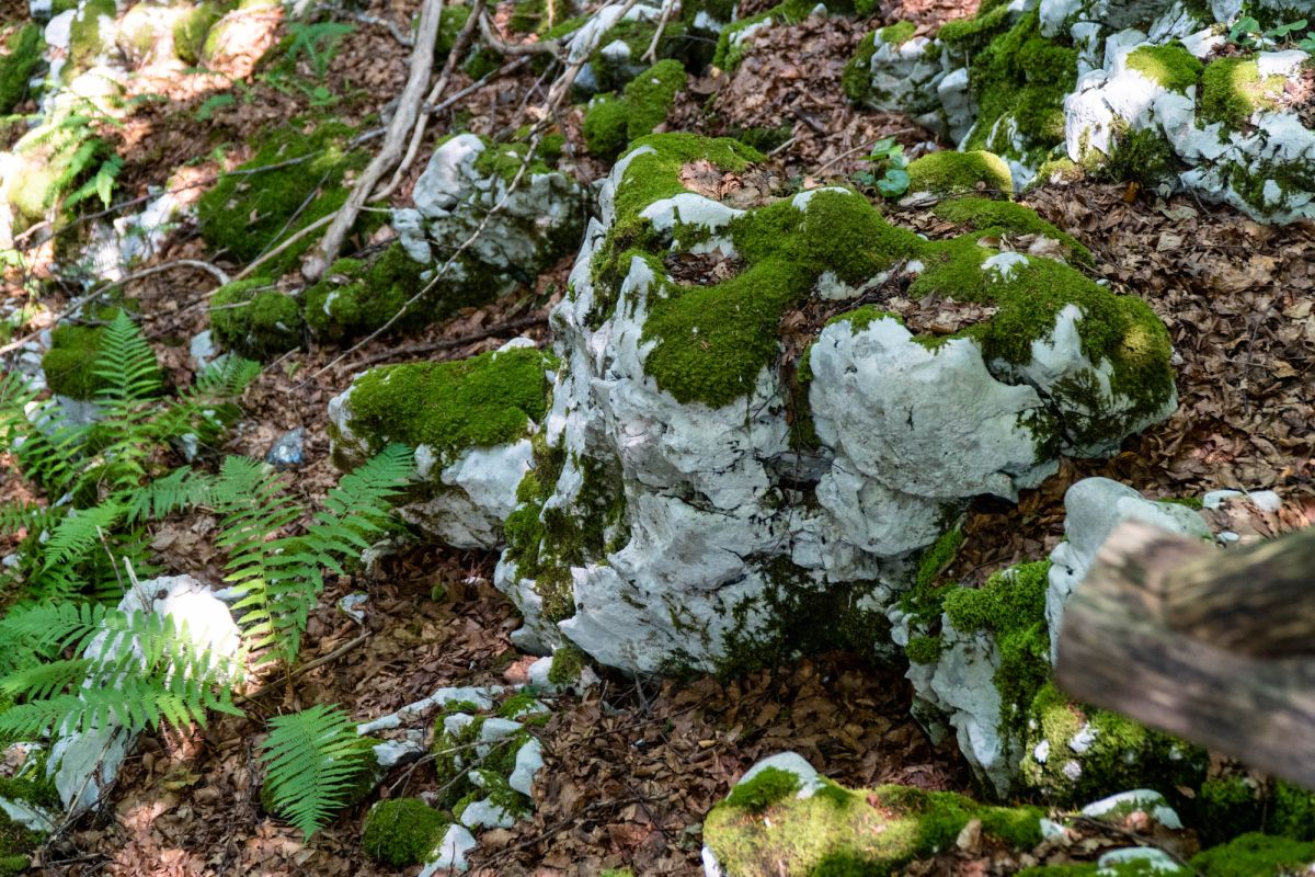 Национальный парк Плитвицкие озера