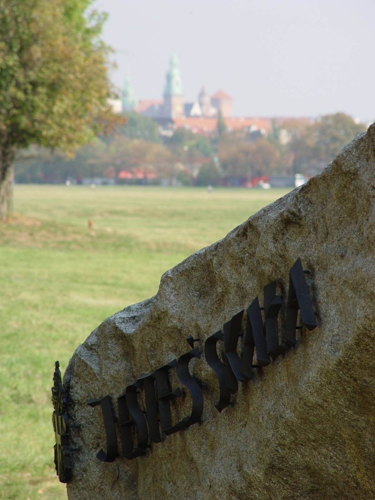 Блони (Краковский луг)