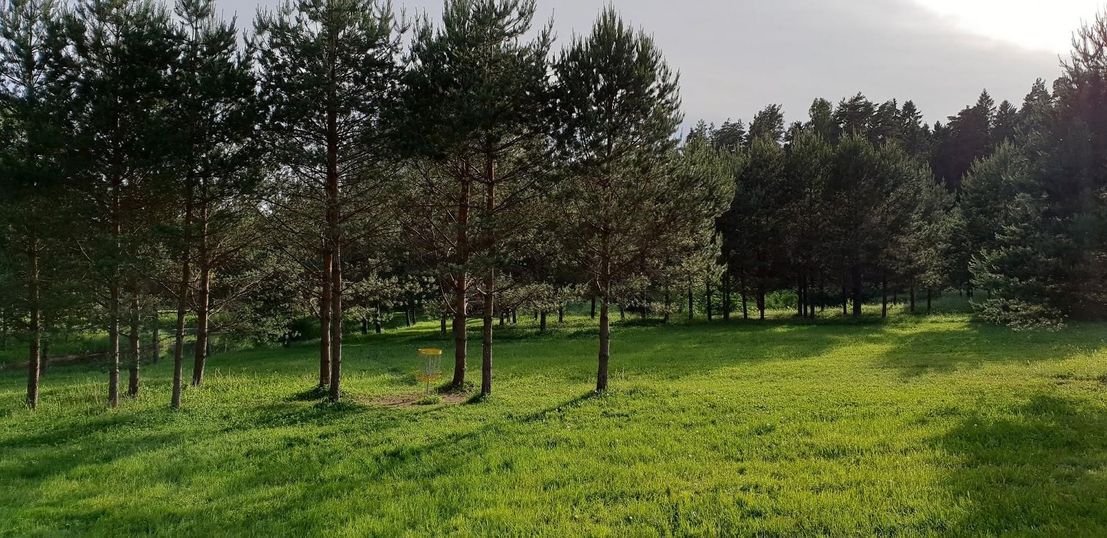 Парк для диск-гольфа Тырва