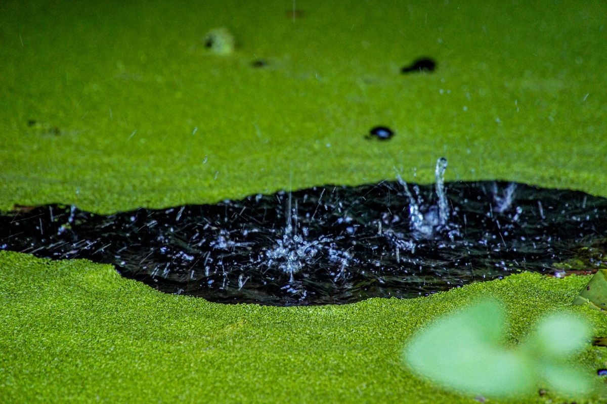 Грот лабиринта в Кинта-да-Регалейра