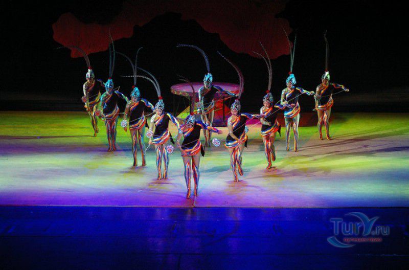 Всемирный Шанхайский Цирк